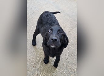 Haru ❤️ so lieber, aufgeschlossener Bub!