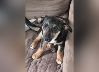 Elke ❤️ wartet bereits in 45259 Essen auf deinen Besuch