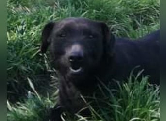 Fröhliche, kleine ♥Greta♥ zart, aber aktiv