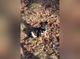 Elke ❤️ wartet bereits in 45259 Essen auf deinen Besuch