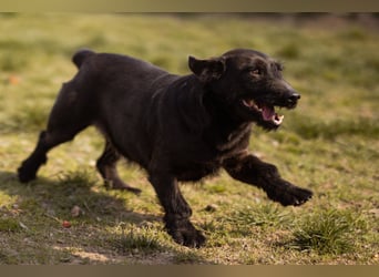 Fröhliche, kleine Greta zart, aber aktiv