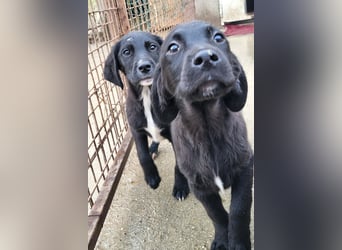 Haru ❤️ so lieber, aufgeschlossener Bub!