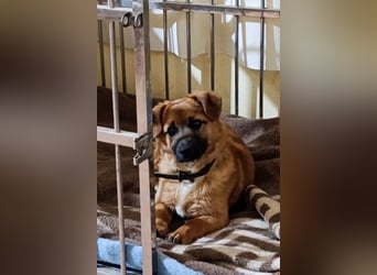 Süße kleine ♥Mihajela♥ sucht so sehr Geborgenheit