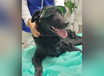 Floyd ❤️ liebenswerter, tapferer Kämpfer