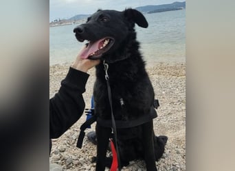 Floyd ❤️ liebenswerter, tapferer Kämpfer