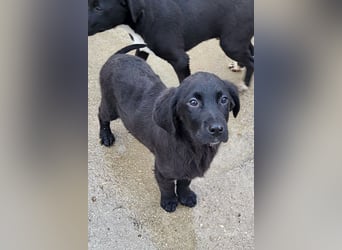 Haru ❤️ so lieber, aufgeschlossener Bub!