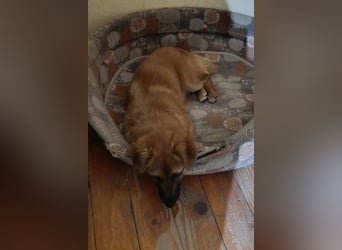 Süße kleine ♥Mihajela♥ sucht so sehr Geborgenheit