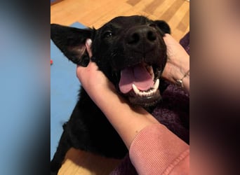 Floyd ❤️ liebenswerter, tapferer Kämpfer