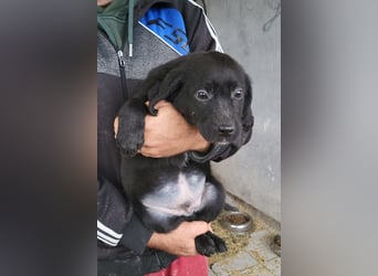 Haru ❤️ so lieber, aufgeschlossener Bub!