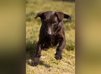 Fröhliche, kleine Greta zart, aber aktiv
