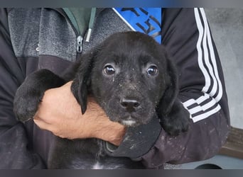 Haru ❤️ so lieber, aufgeschlossener Bub!