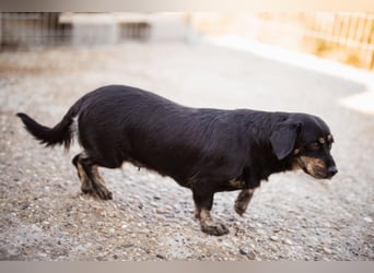Junge Aimi sucht ihr großes Glück