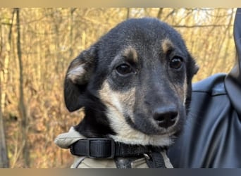 Elke ❤️ wartet bereits in 45259 Essen auf deinen Besuch