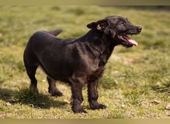 Fröhliche, kleine Greta zart, aber aktiv