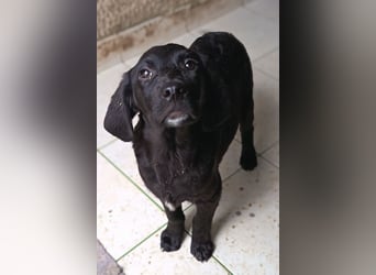 Haru ❤️ so lieber, aufgeschlossener Bub!