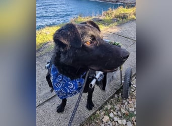 Floyd ❤️ liebenswerter, tapferer Kämpfer