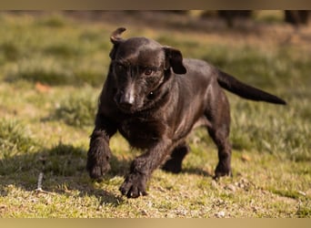 Fröhliche, kleine Greta zart, aber aktiv