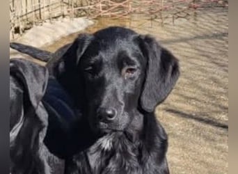 Pedro ❤️ aktiver, so aufgeschlossener Bub