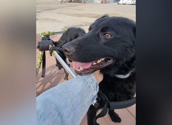 Floyd ❤️ liebenswerter, tapferer Kämpfer