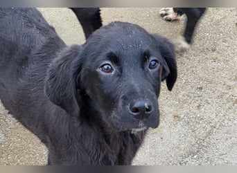 Haru ❤️ so lieber, aufgeschlossener Bub!