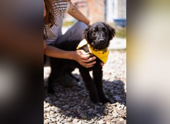 Kleiner♥Mićko♥ sucht seine liebe Familie