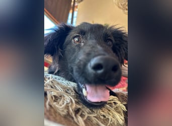 Kleiner♥Mićko♥ sucht seine liebe Familie