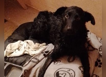 Floyd ❤️ liebenswerter, tapferer Kämpfer