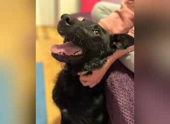 Floyd ❤️ liebenswerter, tapferer Kämpfer