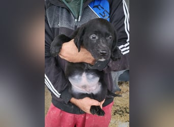 Haru ❤️ so lieber, aufgeschlossener Bub!