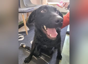 Floyd ❤️ liebenswerter, tapferer Kämpfer