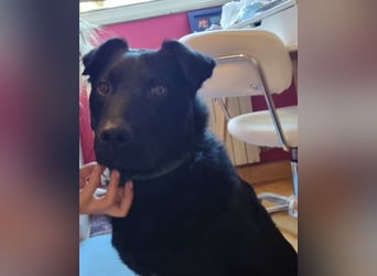 Floyd ❤️ liebenswerter, tapferer Kämpfer