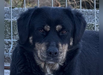 Junge Aimi sucht ihr großes Glück