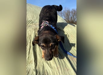 Elke ❤️ wartet bereits in 45259 Essen auf deinen Besuch