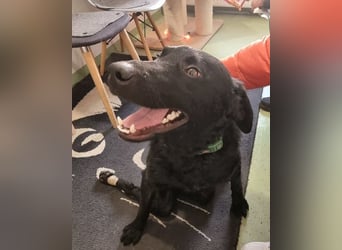 Floyd ❤️ liebenswerter, tapferer Kämpfer