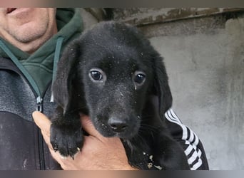 Pedro ❤️ aktiver, so aufgeschlossener Bub