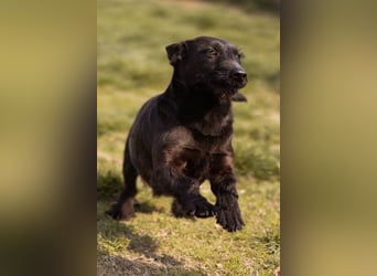 Fröhliche, kleine Greta zart, aber aktiv