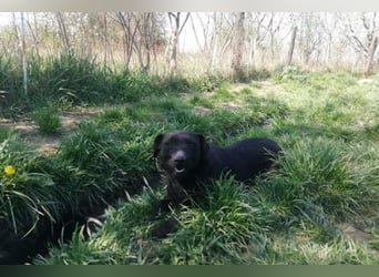 Fröhliche, kleine ♥Greta♥ zart, aber aktiv