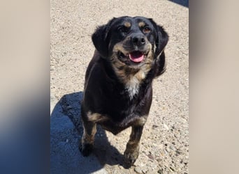 Junge Aimi sucht ihr großes Glück