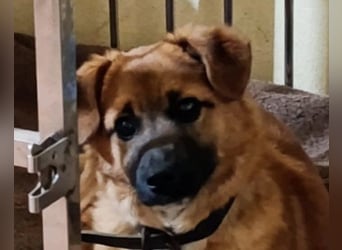 Süße kleine ♥Mihajela♥ sucht so sehr Geborgenheit