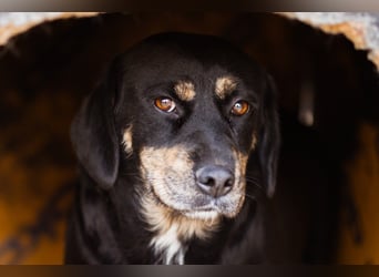 Junge Aimi sucht ihr großes Glück