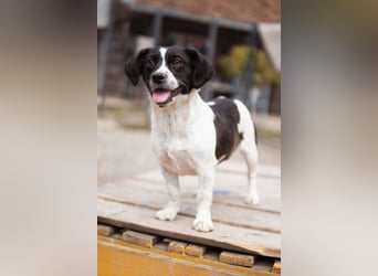 Kleine feine ♥ Jupi ♥ bezauberndes Wesen
