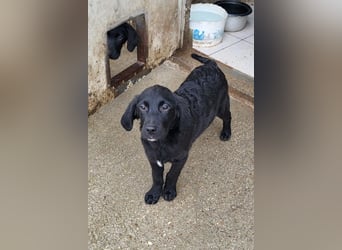 Haru ❤️ so lieber, aufgeschlossener Bub!