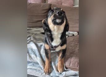 Elke ❤️ wartet bereits in 45259 Essen auf deinen Besuch