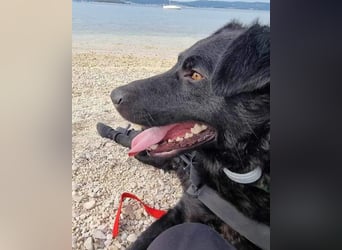 Floyd ❤️ liebenswerter, tapferer Kämpfer