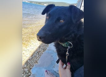 Floyd ❤️ liebenswerter, tapferer Kämpfer