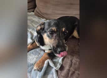 Elke ❤️ wartet bereits in 45259 Essen auf deinen Besuch