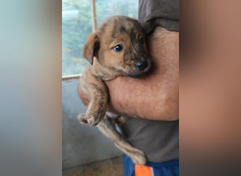 Timmy ❤️ junger, aktiver, so lieber Bub!