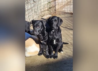 Pedro ❤️ aktiver, so aufgeschlossener Bub