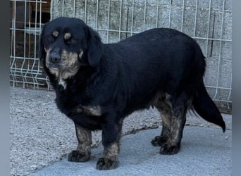 Junge Aimi sucht ihr großes Glück