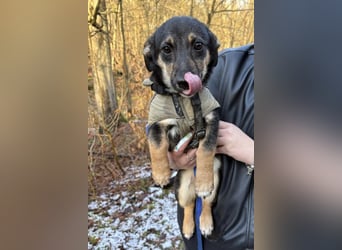 Elke ❤️ wartet bereits in 45259 Essen auf deinen Besuch